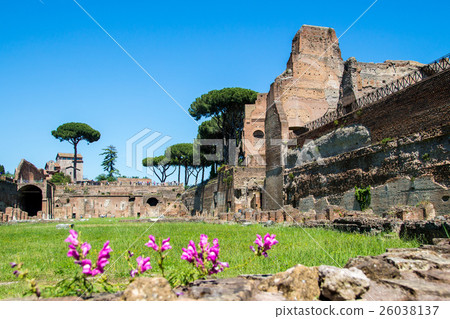 图库照片: ruins of the stadium on the palatine hill in rome