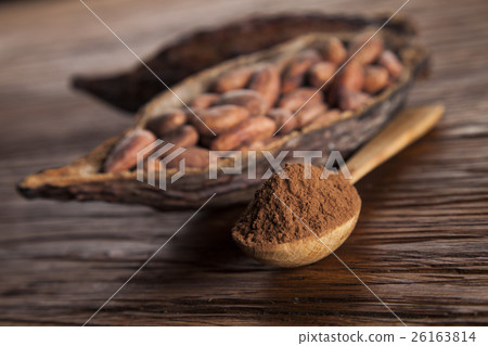 图库照片: cacao beans and powder and food dessert background