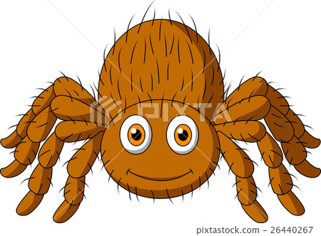 插图素材: cute tarantula cartoon