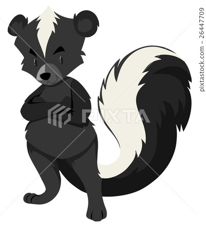 图库插图 wild skunk on white background