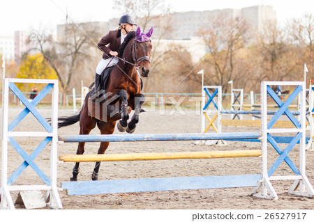 图库照片: young female rider on bay horse jump over hurdle