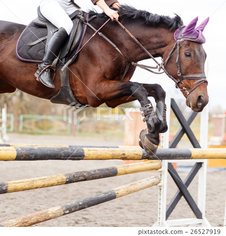 图库照片: close up image of jumping horse over hurdle