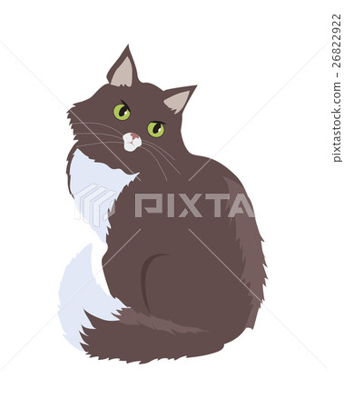 插图素材: siberian cat vector flat design illustration