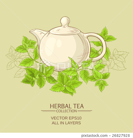 插图素材: peppermint herbal tea 查看全部