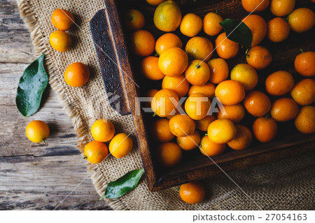 图库照片 fresh kumquats on the old wood