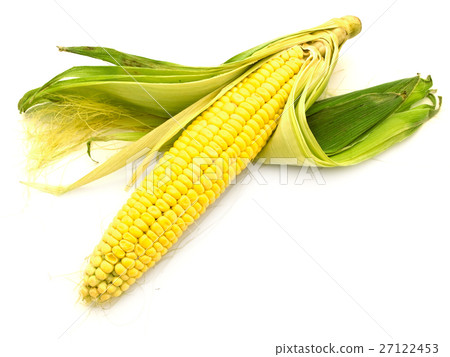 蔬菜 玉米 照片 ear corn 首页 照片 蔬菜_食品 蔬菜 玉米 ear corn