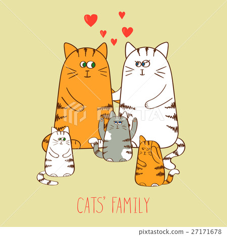 cats family cute kittens-图库插图[27171678 pixta