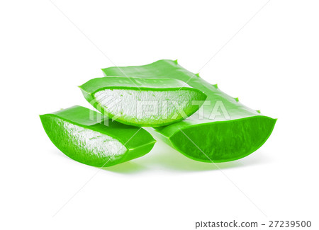 stock photo: aloe vera fresh leaf on white