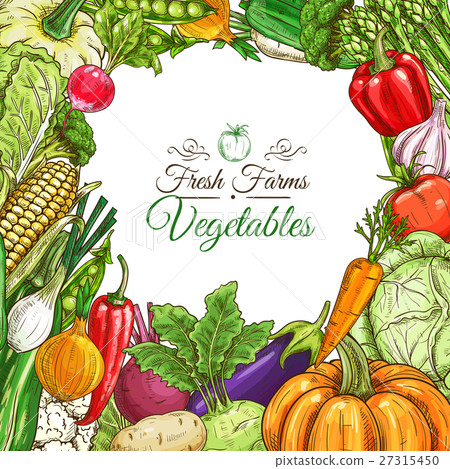 图库插图: vegetables poster, vegetarian menu design template