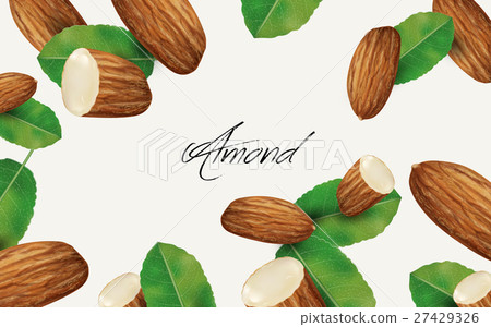 图库插图: almond and leaf element