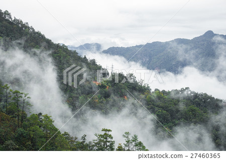 scene of tropical forest mountain 首页 照片 天空 天气 多云 foggy