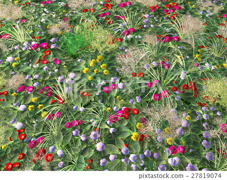 插图素材: wildflower meadow