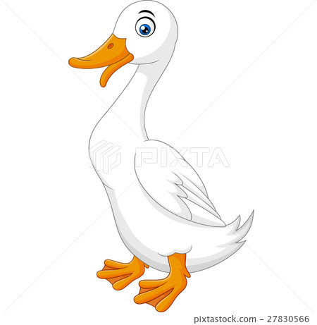 插图素材: illustration of cartoon white duck