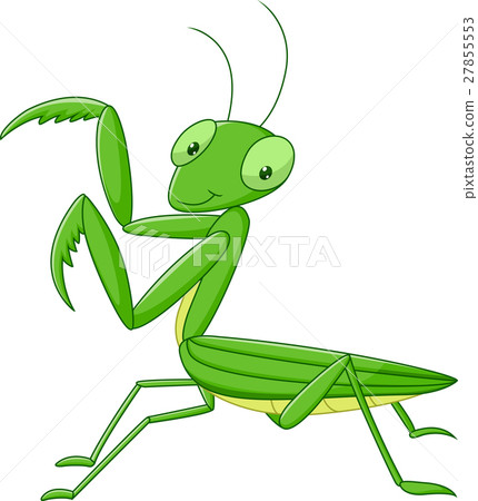 插图素材: cute cartoon mantis