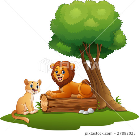 jungle gym cartoon,planecartoon 插图素材: cartoon lion couple in the jungle