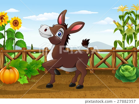 插图素材: cartoon happy donkey in the farm