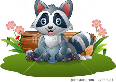 插图素材: cartoon raccoon in the forest