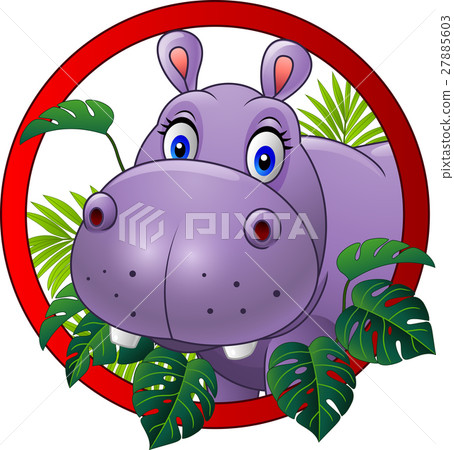 图库插图: cartoon hippo mascot