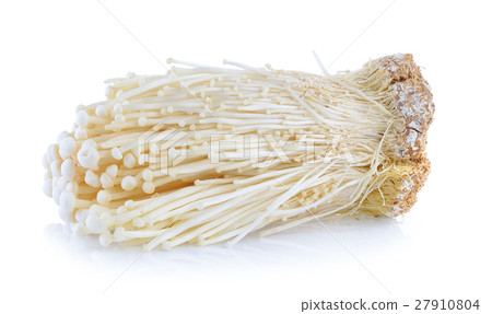 图库照片: golden needle mushroom