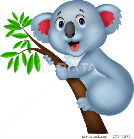 动物/鸟类 陆地动物 无尾熊 插图 cute koala cartoon 首页 插图 动物