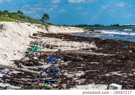 图库照片: mexico ocean pollution problem plastic litter