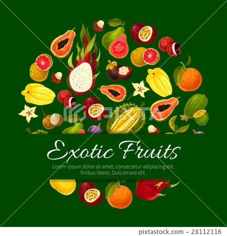 插图素材: exotic tropical fresh fruits vector poster 查看全部