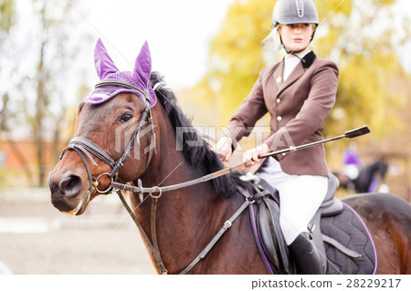 图库照片: young jockey girl riding horse on competition