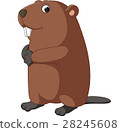 插图素材: cartoon beaver