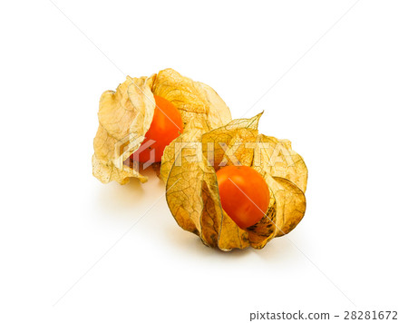 图库照片: fresh cape gooseberry