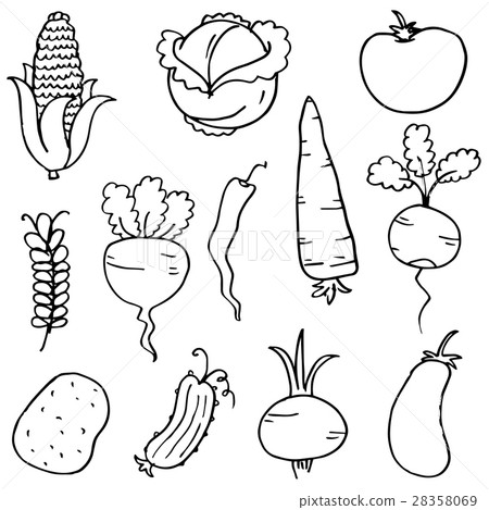 图库插图: doodle of vegetable set hand draw