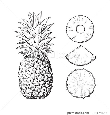 插图素材: whole pineapple and slices - peeled, unpeeled