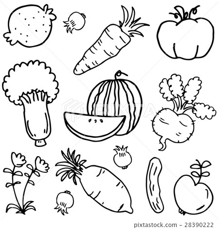 插图素材: doodle of vegetable and fruit