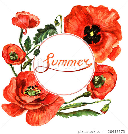 图库插图: wildflower poppy flower frame in a watercolor