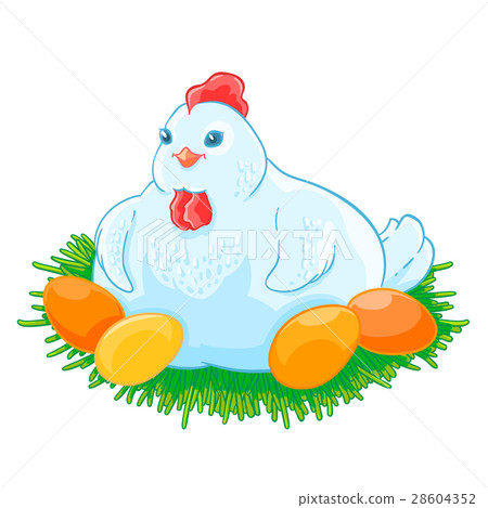 图库插图: mother hen is sitting the eggs hatch in the nest.