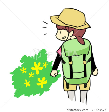 图库插图: 爬山 山野女孩 登山者