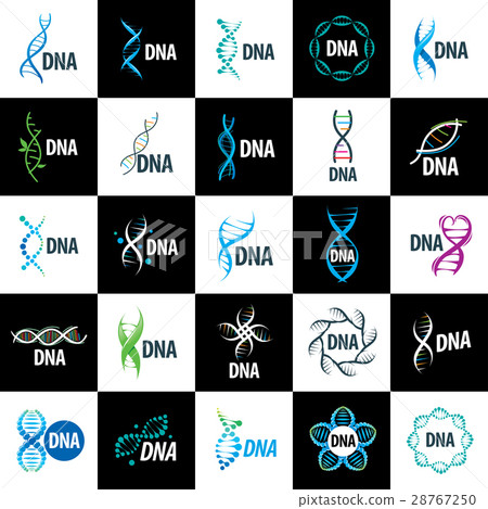 图库插图: vector logo dna