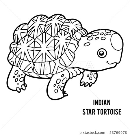 图库插图: coloring book, indian star tortoise