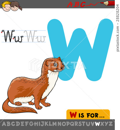 插图素材: letter w with cartoon weasel