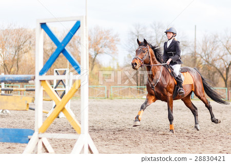 图库照片: young rider girl on horse trotting on show jumping