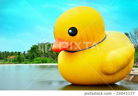 图库照片: big yellow duck bird at lake river background