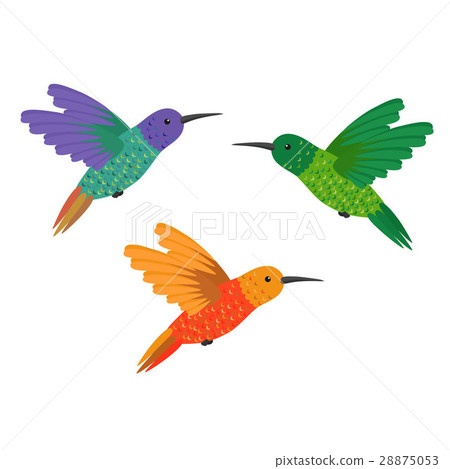 插图素材: set three small colorful bird hummingbird