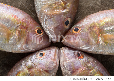 图库照片: raw sea bream fish on metal background, top view