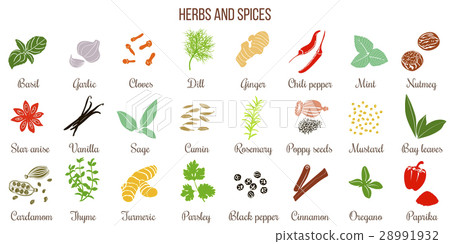 插图素材: big set of simple flat culinary herbs and spices