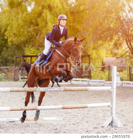 图库照片: rider girl jumping over hurdle on show jumping