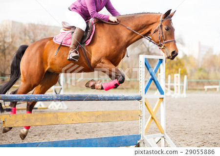 图库照片: horse with rider jump over hurdle on show jumping