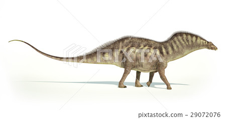 图库插图: photorealistic representation of an amargasaurus