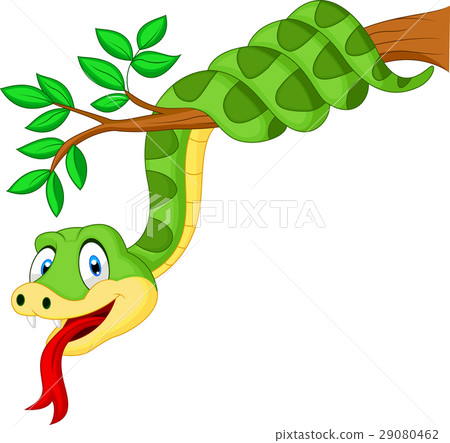 插图素材: cartoon green snake on branch