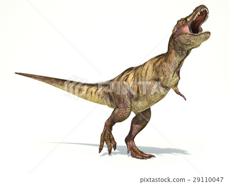 插图素材: tyrannosaurus rex dinosaur, photorealistic