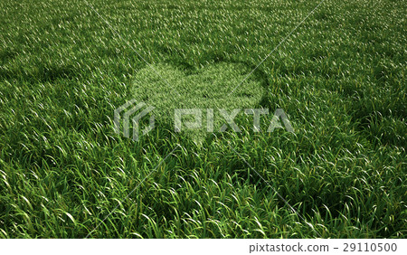 图库插图: grass meadow, bird eye view, with a heart shape cut