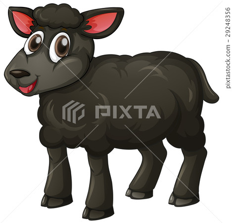 插图素材: black lamb on white background